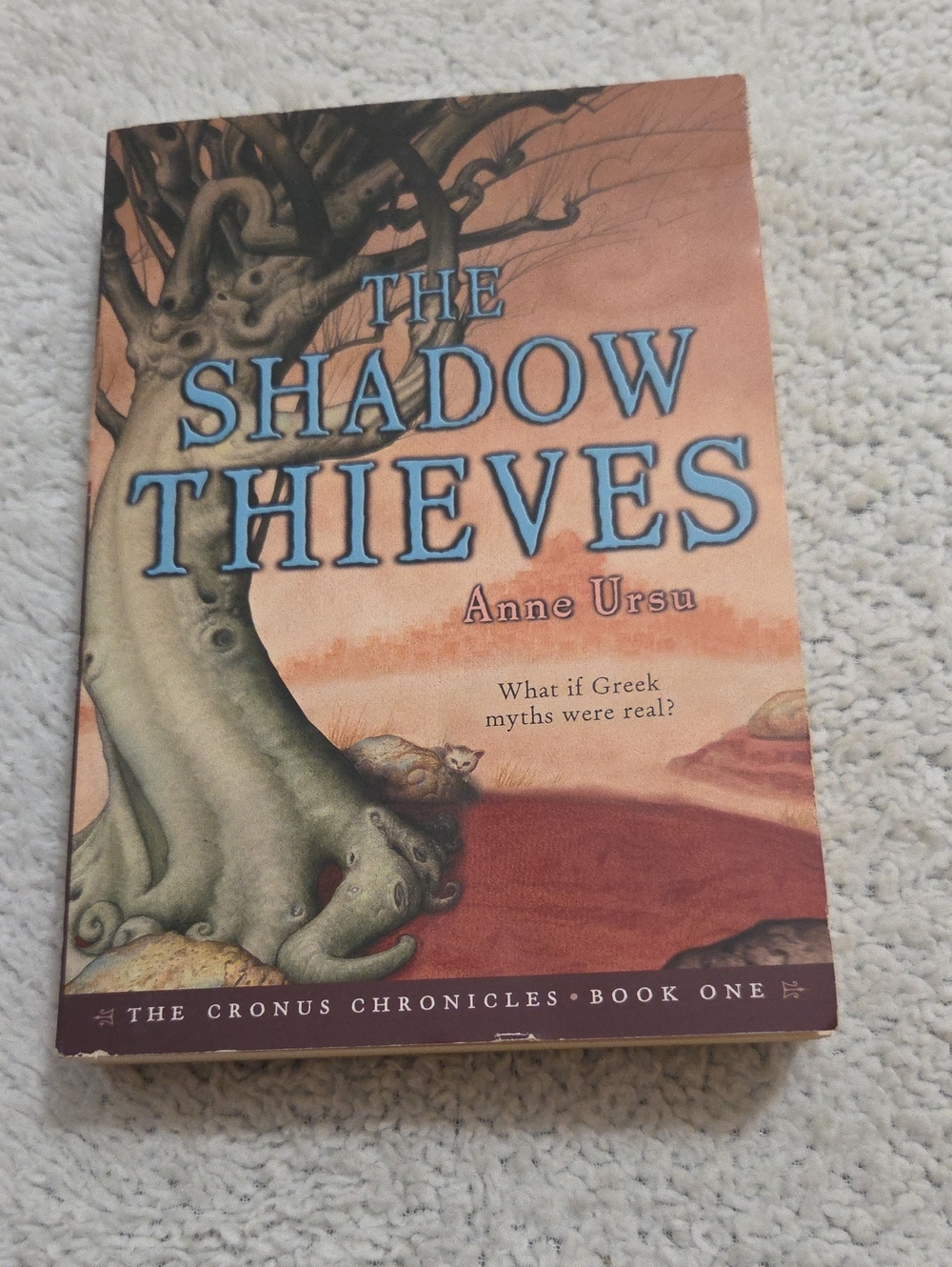 THE SHASOW OF THIEVES PAPERBACK NOVEL